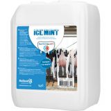 Ice mint gel grootverpakking incl. dosator - 2,5L