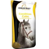 Equifirst condition cube - 20kg