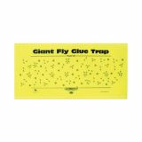 Fly glue giant + traktatie